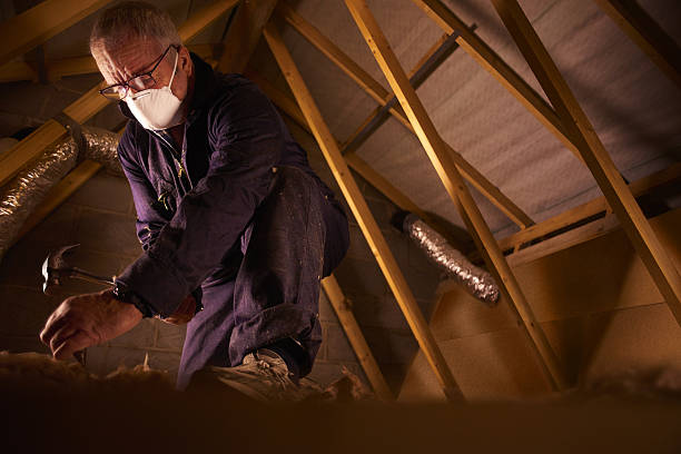 Best Garage Insulation Installation  in Ocean Pointe, HI