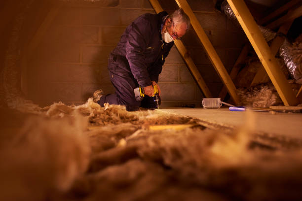 Best Spray Foam Insulation  in Ocean Pointe, HI